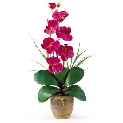 Single Stem Phalaenopsis Silk Orchid Arrangement Default Title