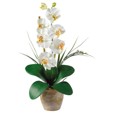 Single Stem Phalaenopsis Silk Orchid Arrangement Default Title