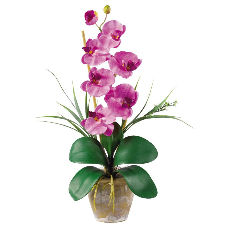 Single Stem Phalaenopsis Silk Orchid Arrangement Default Title