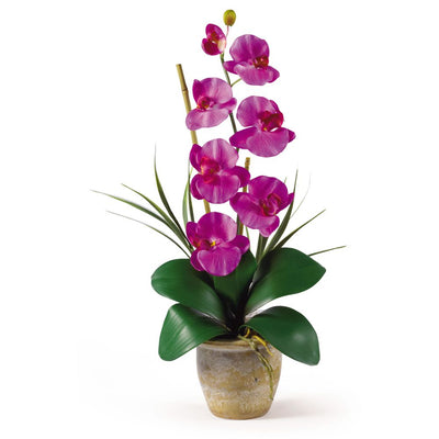 Single Stem Phalaenopsis Silk Orchid Arrangement Default Title