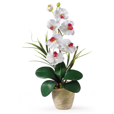 Single Stem Phalaenopsis Silk Orchid Arrangement Default Title