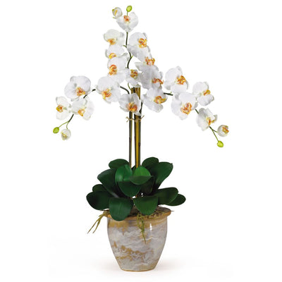 Triple Stem Phalaenopsis Silk Orchid Arrangement Default Title