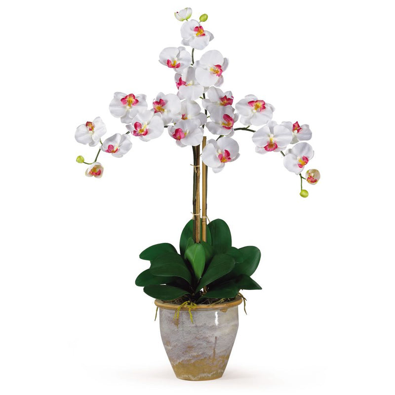 Triple Stem Phalaenopsis Silk Orchid Arrangement Default Title