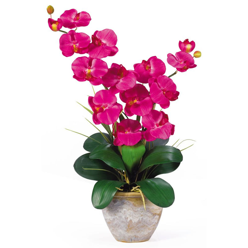 Double Stem Phalaenopsis Silk Orchid Arrangement Default Title