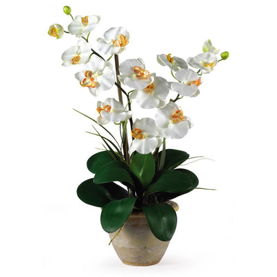 Double Stem Phalaenopsis Silk Orchid Arrangement Default Title