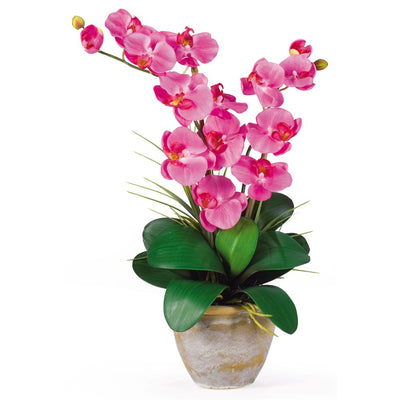 Double Stem Phalaenopsis Silk Orchid Arrangement Default Title