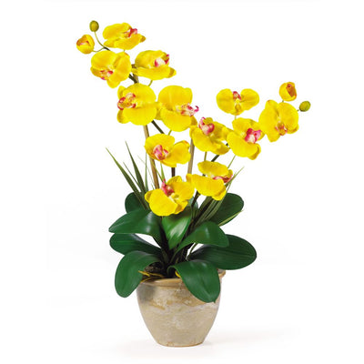 Double Stem Phalaenopsis Silk Orchid Arrangement Default Title