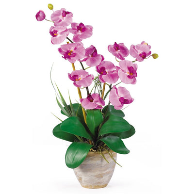 Double Stem Phalaenopsis Silk Orchid Arrangement Default Title