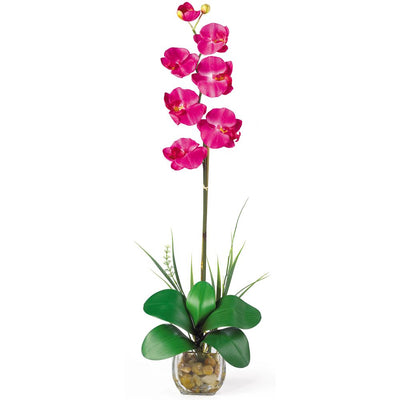 Single Phalaenopsis Liquid Illusion Silk Flower Arrangement Default Title