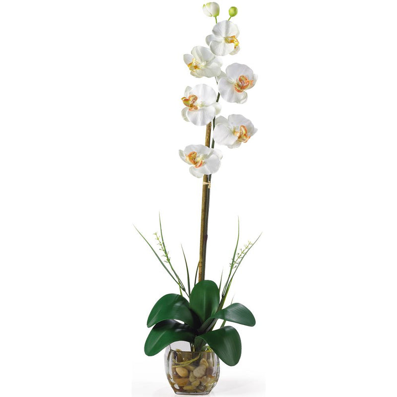 Single Phalaenopsis Liquid Illusion Silk Flower Arrangement Default Title