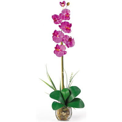 Single Phalaenopsis Liquid Illusion Silk Flower Arrangement Default Title