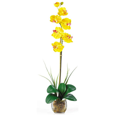 Single Phalaenopsis Liquid Illusion Silk Flower Arrangement Default Title