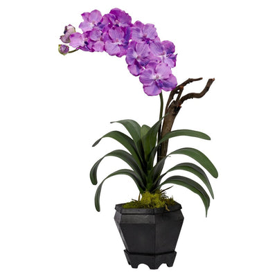 Vanda w/Black Hexagon Vase Silk Arrangement Default Title