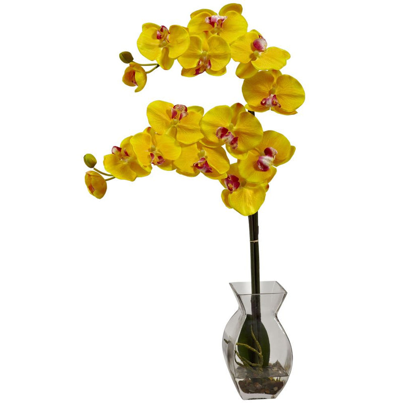 Phalaenopsis Orchid w/Vase Arrangement Default Title