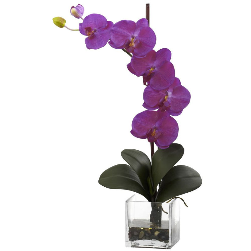 Giant Phal Orchid w/Vase Arrangement Default Title