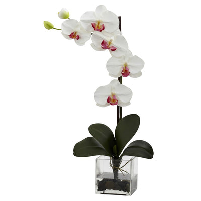 Giant Phal Orchid w/Vase Arrangement Default Title