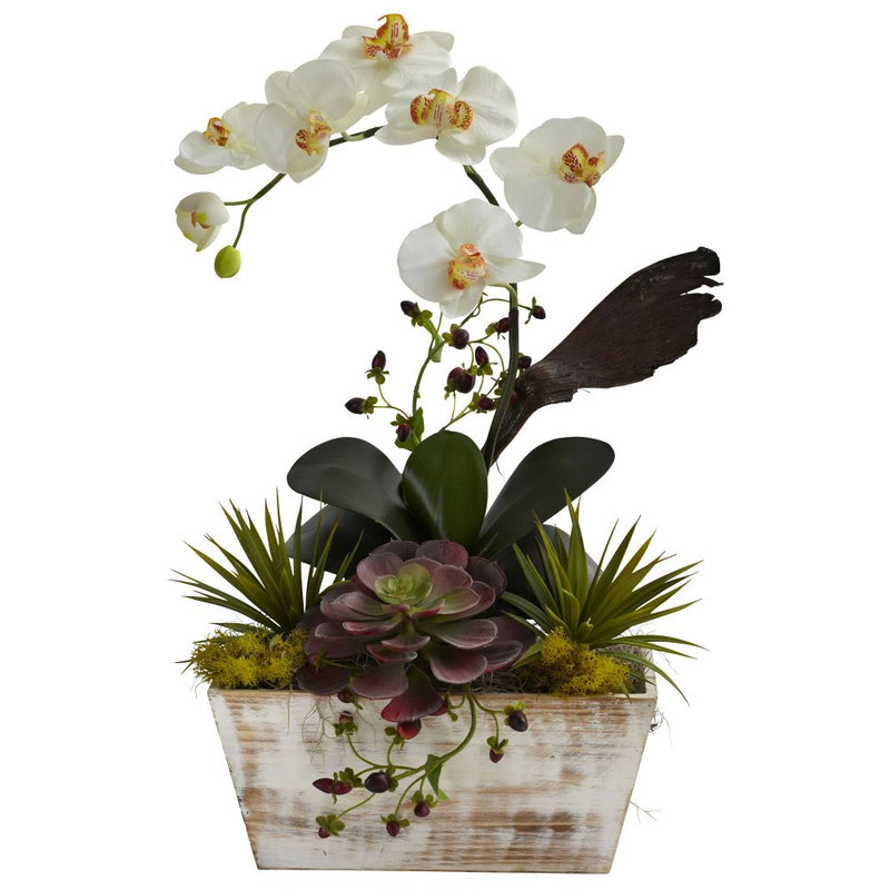 Orchid & Succulent Garden w/White Wash Planter Default Title