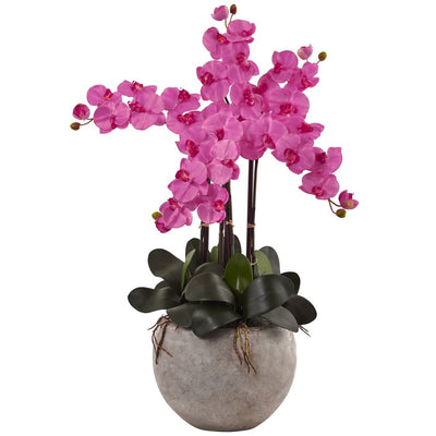 Phalaenopsis Orchid Arrangement with Sand Colored Bowl Default Title