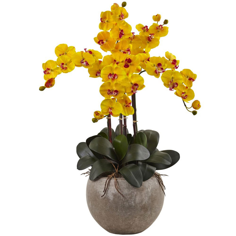 Phalaenopsis Orchid Arrangement with Sand Colored Bowl Default Title