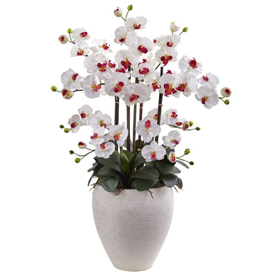 Phalaenopsis Orchid with White Planter Default Title