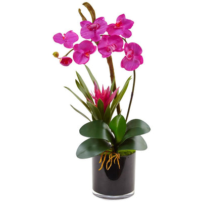 Orchid and Bromeliad in Glossy Black Cylinder Default Title