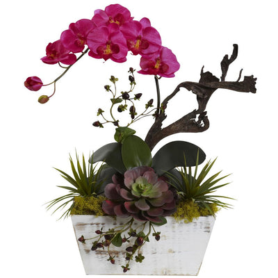 Orchid & Succulent Garden with White Wash Planter Default Title