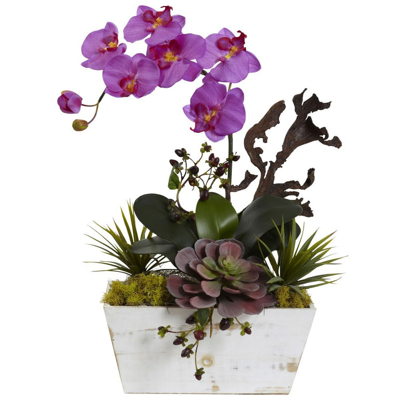 Orchid & Succulent Garden with White Wash Planter Default Title