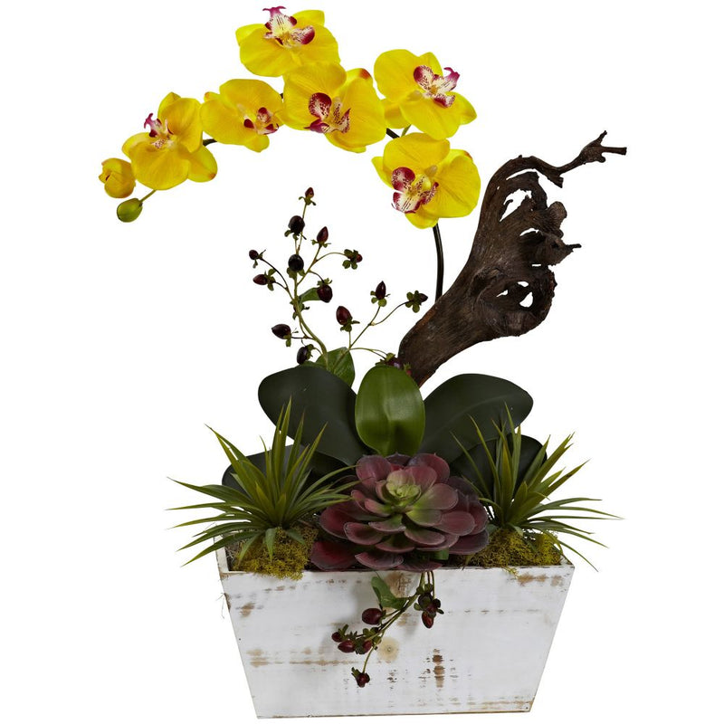 Orchid & Succulent Garden with White Wash Planter Default Title