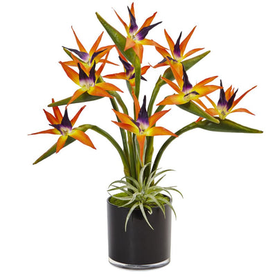 Bird of Paradise in Black Glossy Cylinder Default Title