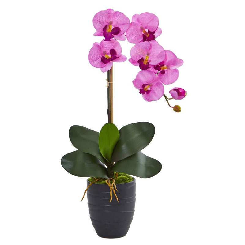 Phalaenopsis Orchid Artificial Arrangement in Black Vase Default Title