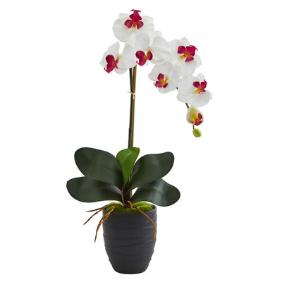 Phalaenopsis Orchid Artificial Arrangement in Black Vase Default Title