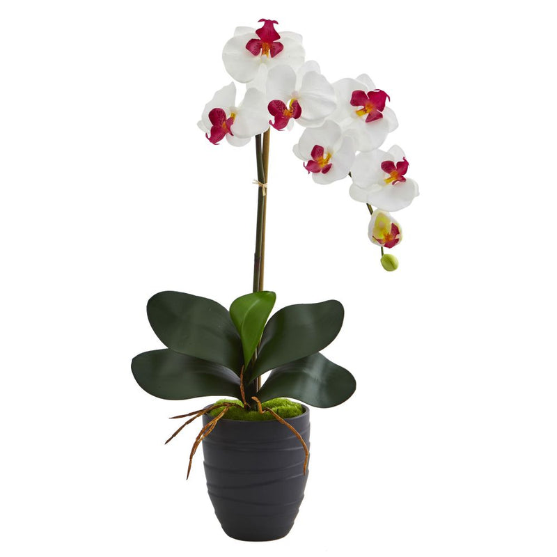 Phalaenopsis Orchid Artificial Arrangement in Black Vase Default Title