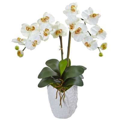 Double Phalaenopsis Orchid in White Vase Default Title