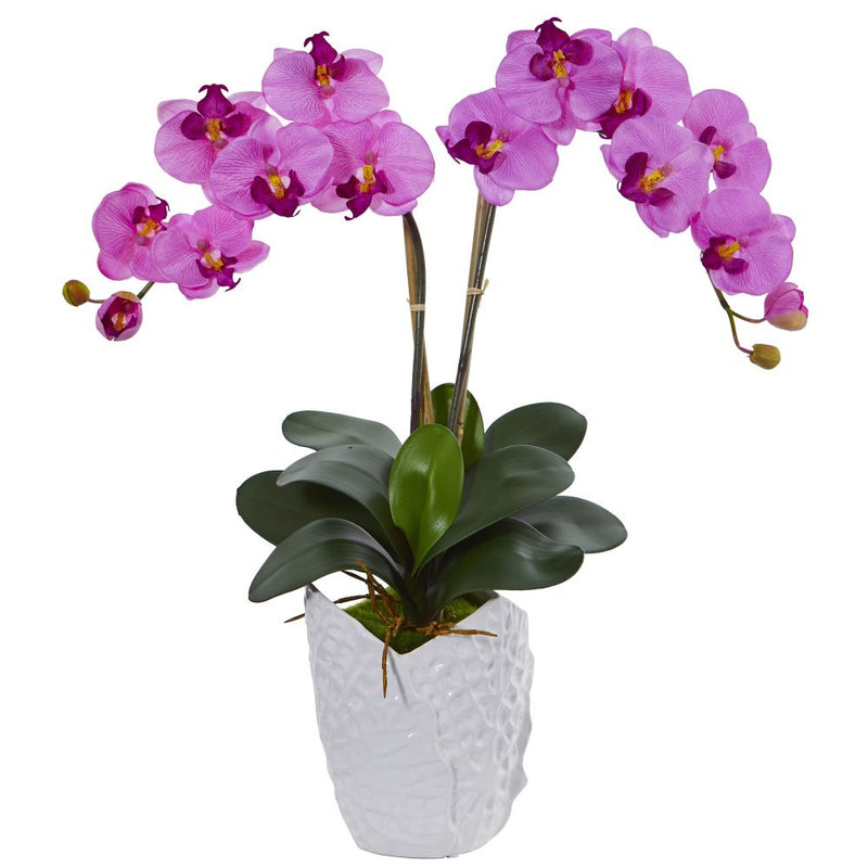 Double Phalaenopsis Orchid Artificial Arrangement in White Vase Default Title