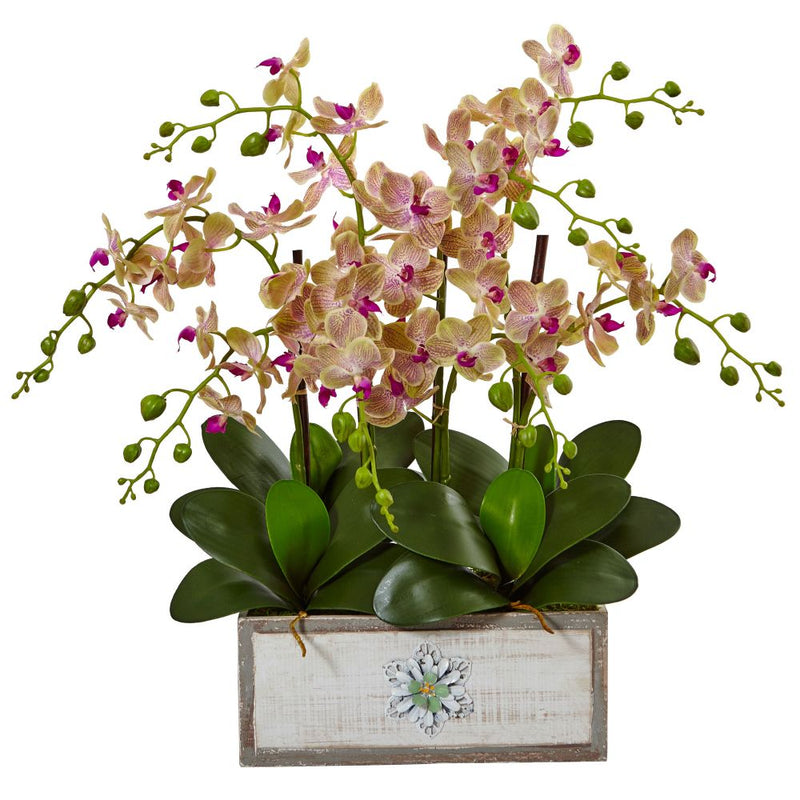 Phalaenopsis Orchid Arrangement in Decorative Wood Vase Default Title