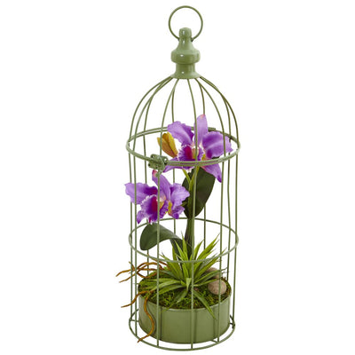 Cattleya Orchid Arrangement in Bird Cage Default Title