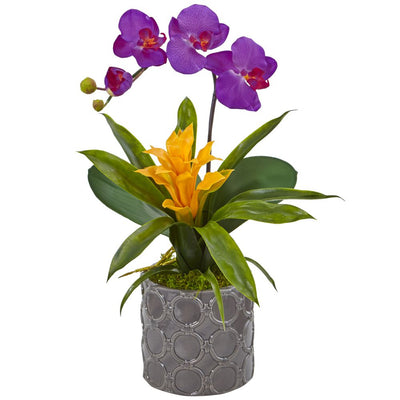 Mini Phalaenopsis Orchid and Bromeliad in Gray Vase Default Title