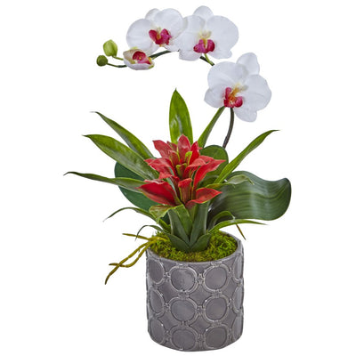 Mini Phalaenopsis Orchid and Bromeliad in Gray Vase Default Title