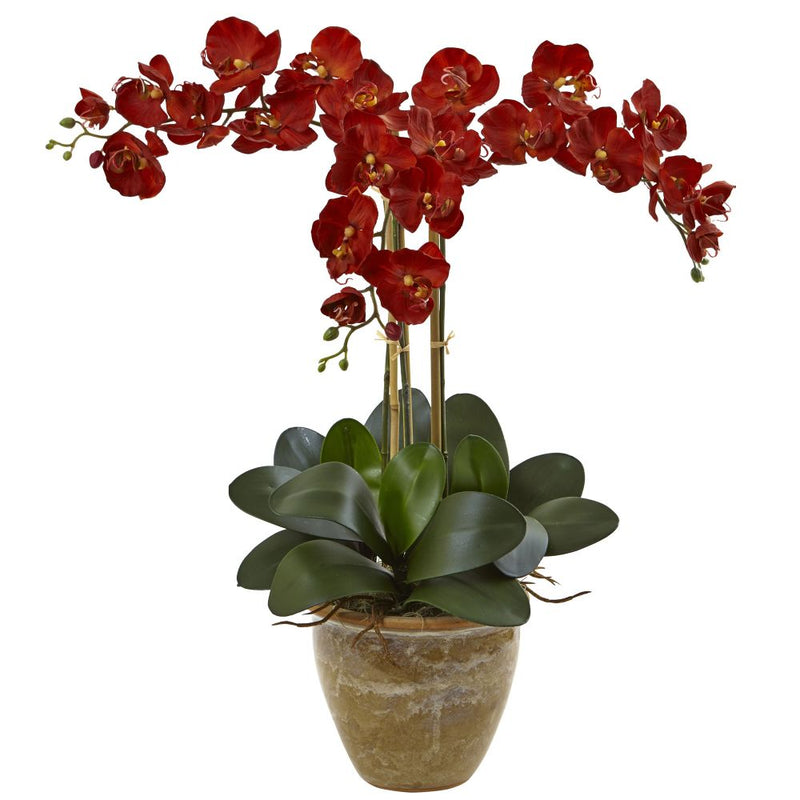 Triple Stem Phalaenopsis Arrangement Seasonal Default Title