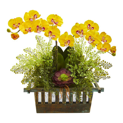 Orchid, Succulent and Maiden Hair Artificial Arrangement Default Title