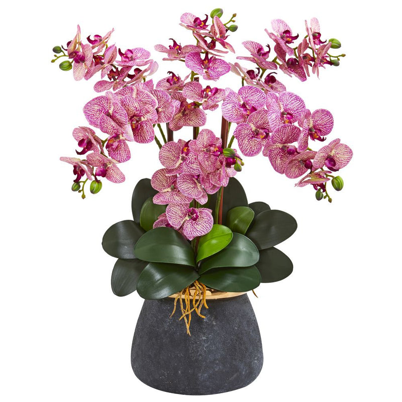 Phalaenopsis Orchid Artificial Arrangement in Stoneware Vase Default Title