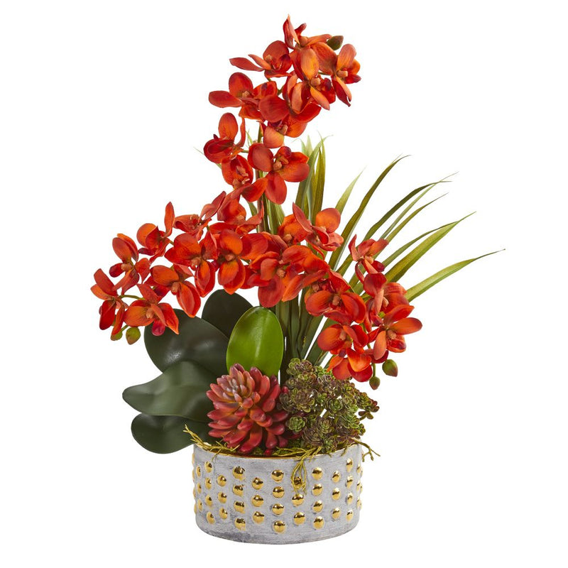 Autumn Phalaenopsis Orchid and Succulent Artificial Arrangement Default Title