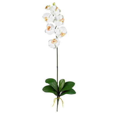 Phalaenopsis Silk Orchid Flower w/Leaves (6 Stems) Default Title