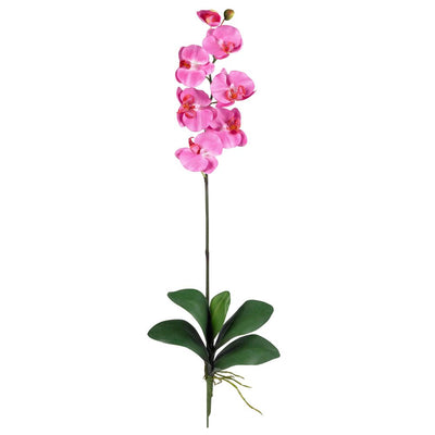 Phalaenopsis Silk Orchid Flower w/Leaves (6 Stems) Default Title