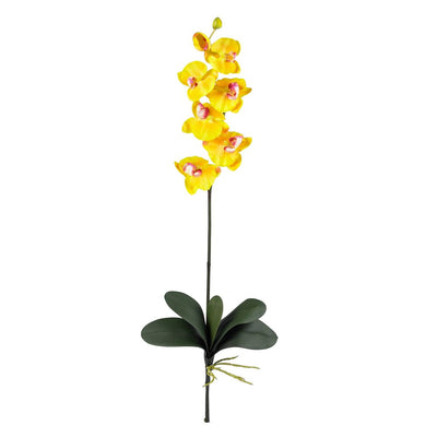 Phalaenopsis Silk Orchid Flower w/Leaves 6 Stems) Default Title