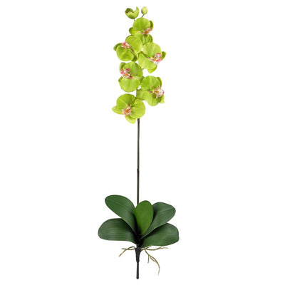 Phalaenopsis Silk Orchid Flower w/Leaves (6 Stems) Default Title