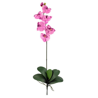 Phalaenopsis Silk Orchid Flower w/Leaves (6 Stems) Default Title