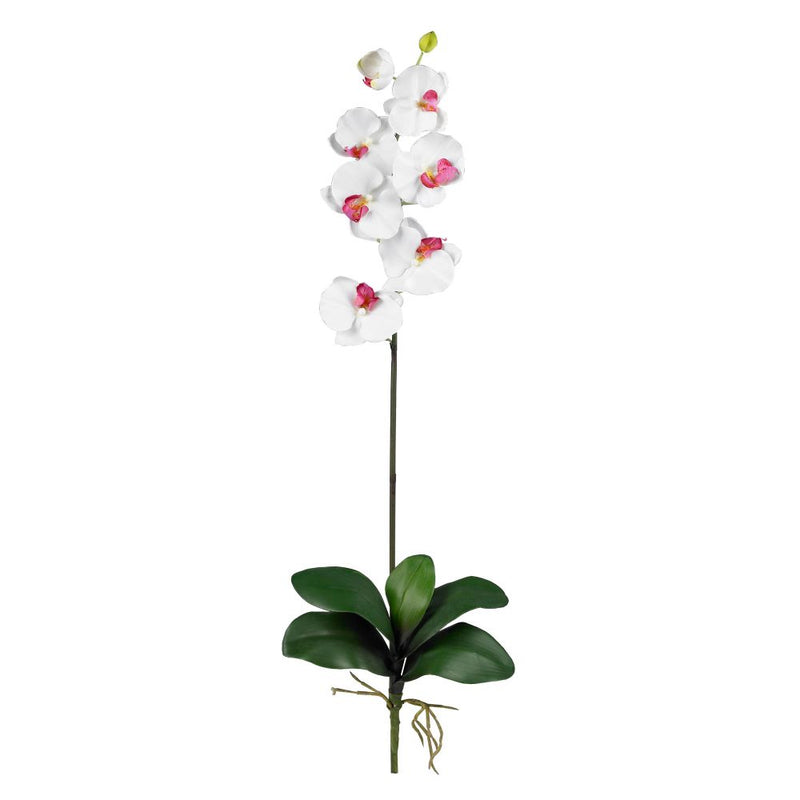 Phalaenopsis Silk Orchid Flower w/Leaves (6 Stems) Default Title