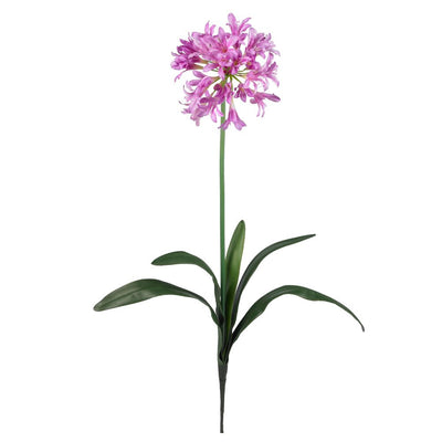 29" African Lily Stem (Set of 12) Default Title