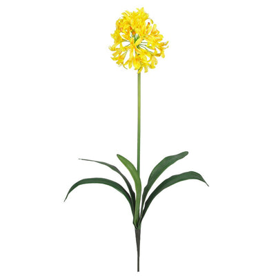 29" African Lily Stem (Set of 12) Default Title